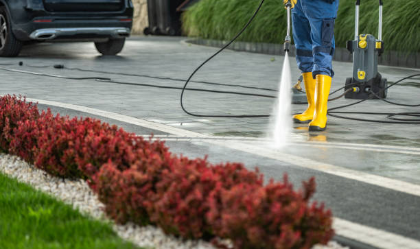 Trusted Dale, IN Pressure Washing Experts